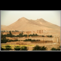 17620 07 008 Baal Tempel Palmyra Syrien 2011.jpg